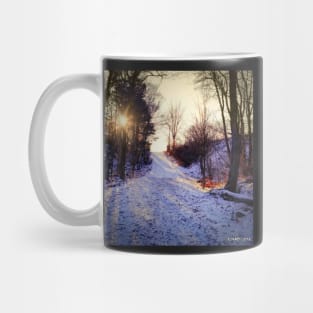 Sunset At The Entrance To Hemlock Ravine Park Mug